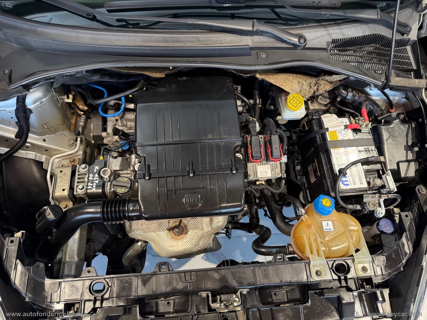 Punto Evo 1.4 5p. Fun - immagine 10