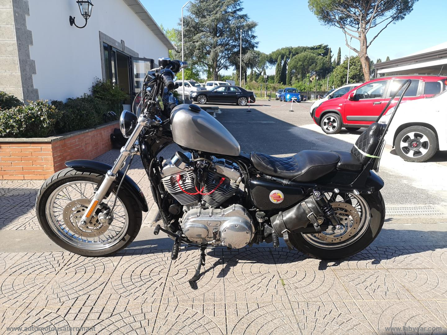 Sportster 883 PROMO WEB - immagine 10