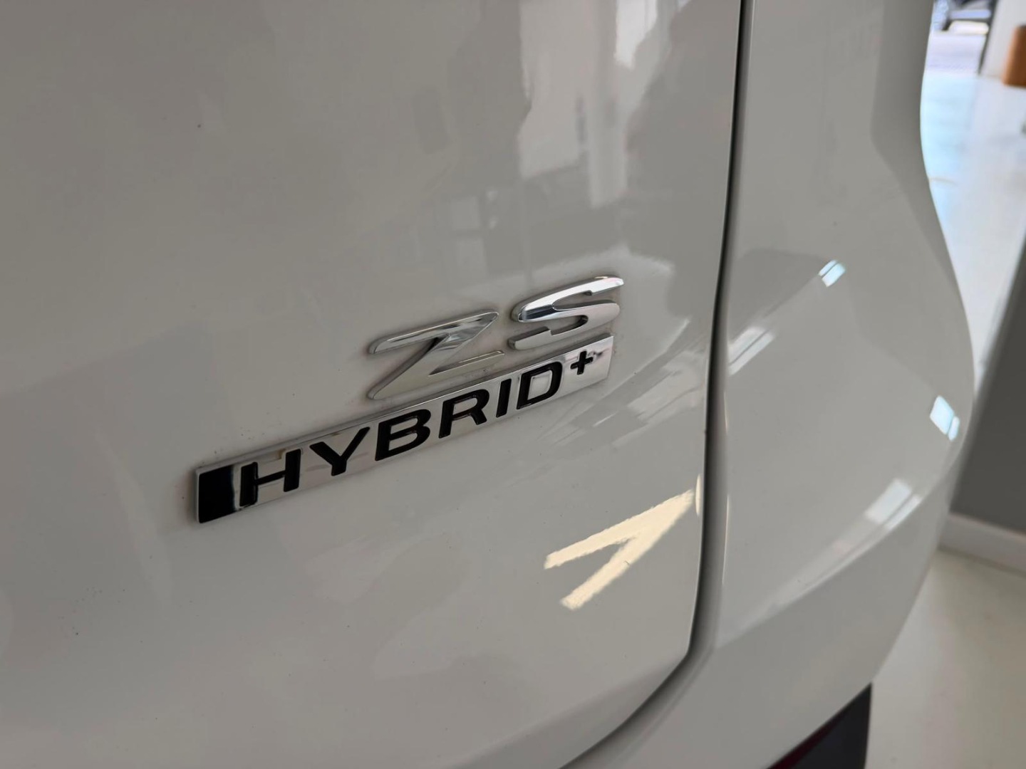 ZS Hybrid+ Luxury - immagine 10