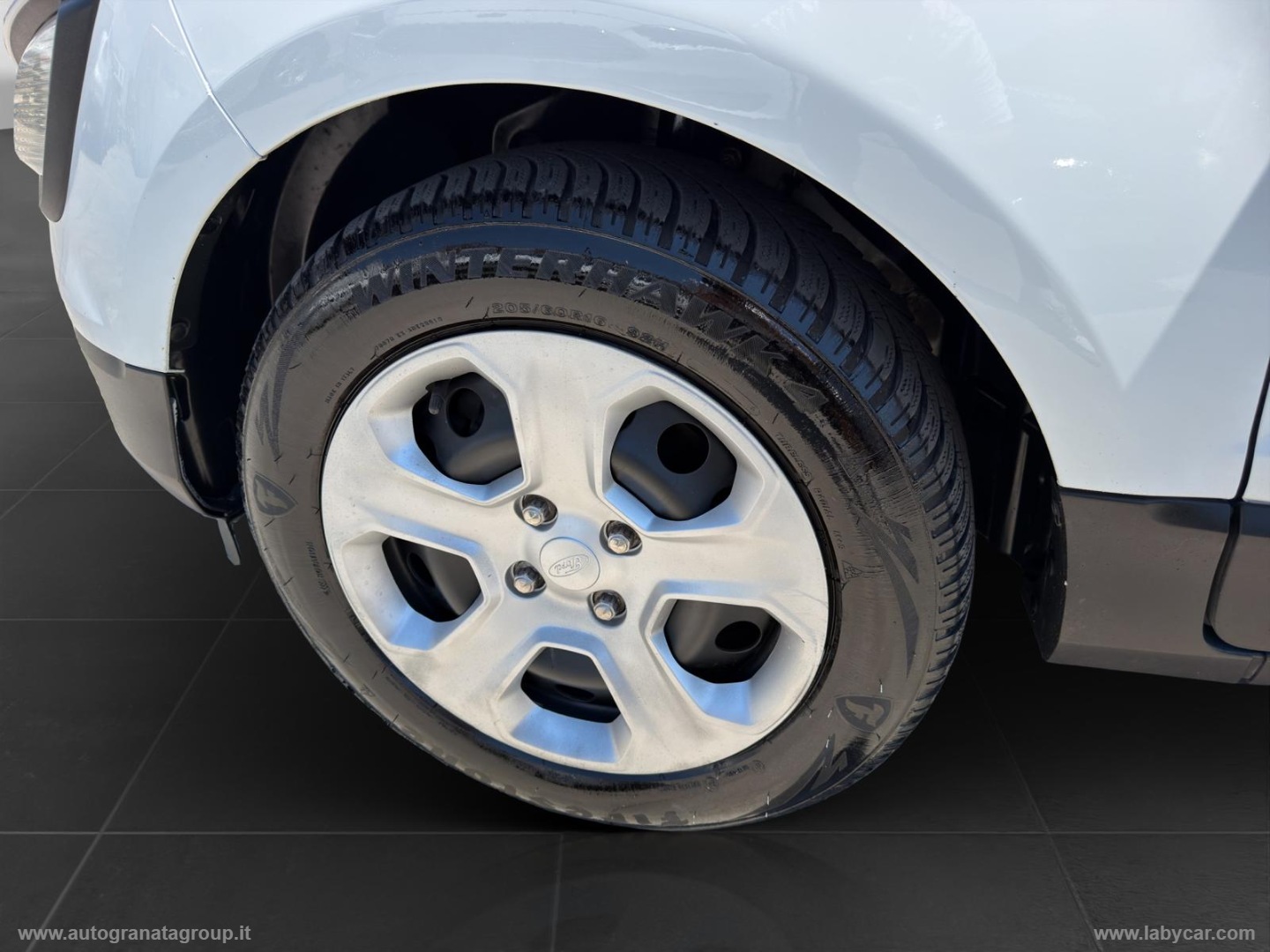 EcoSport 1.5 TDCi 100 CV S&S Business POCHI KM GARANTITA! - immagine 10