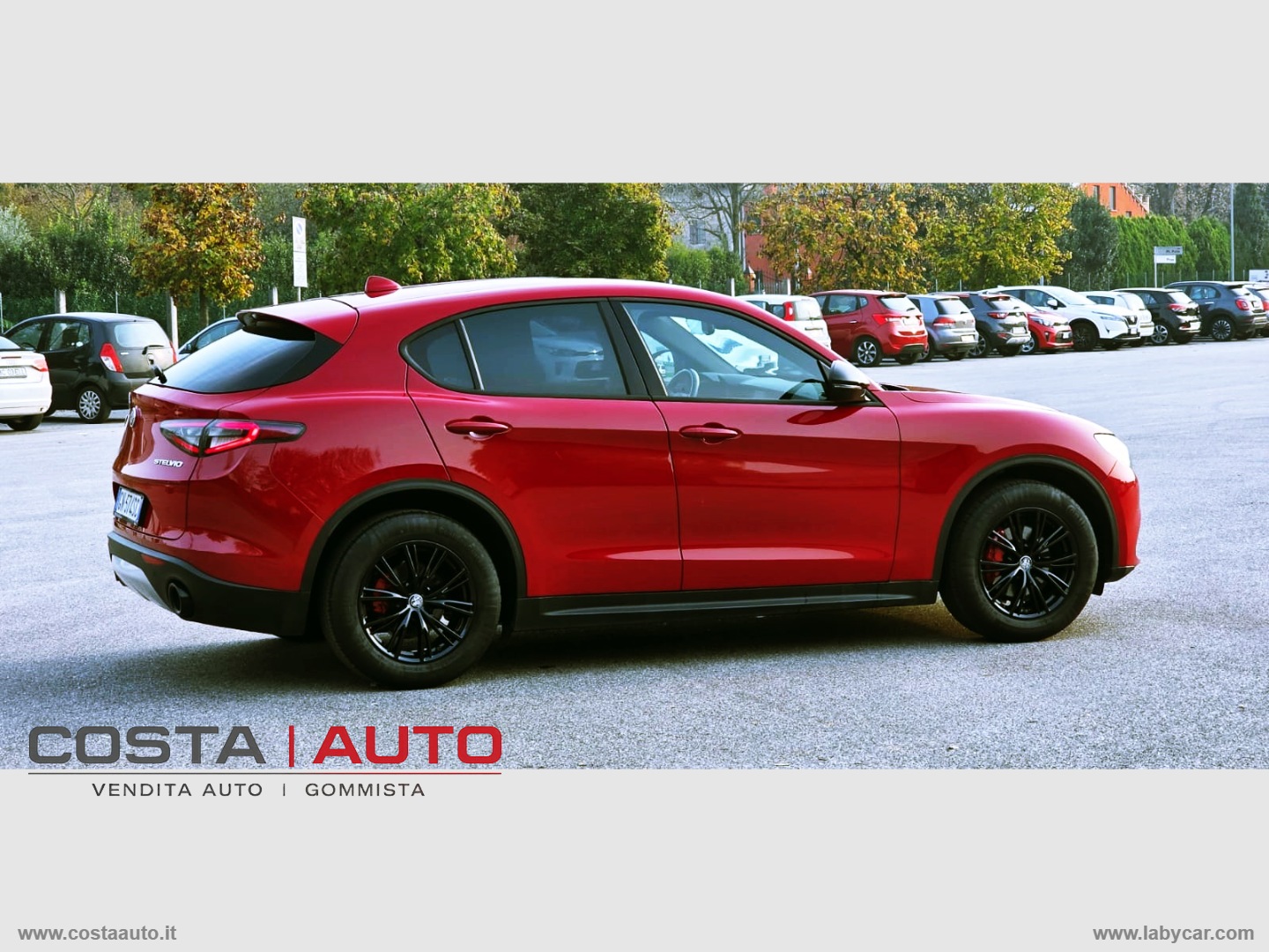 Stelvio 2.2 T.d. 160CV AT8 RWD SUPER - immagine 10