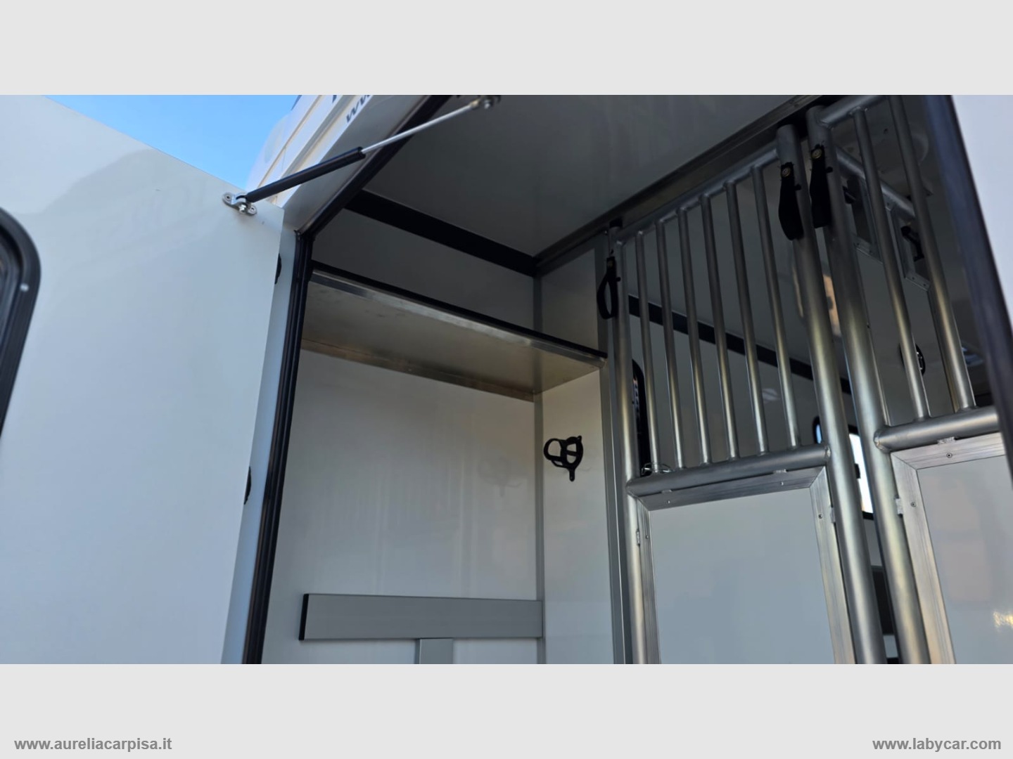 Master T35 2.3dCi135 PL-TM VAN TRASPORTO CAVALLI - immagine 11