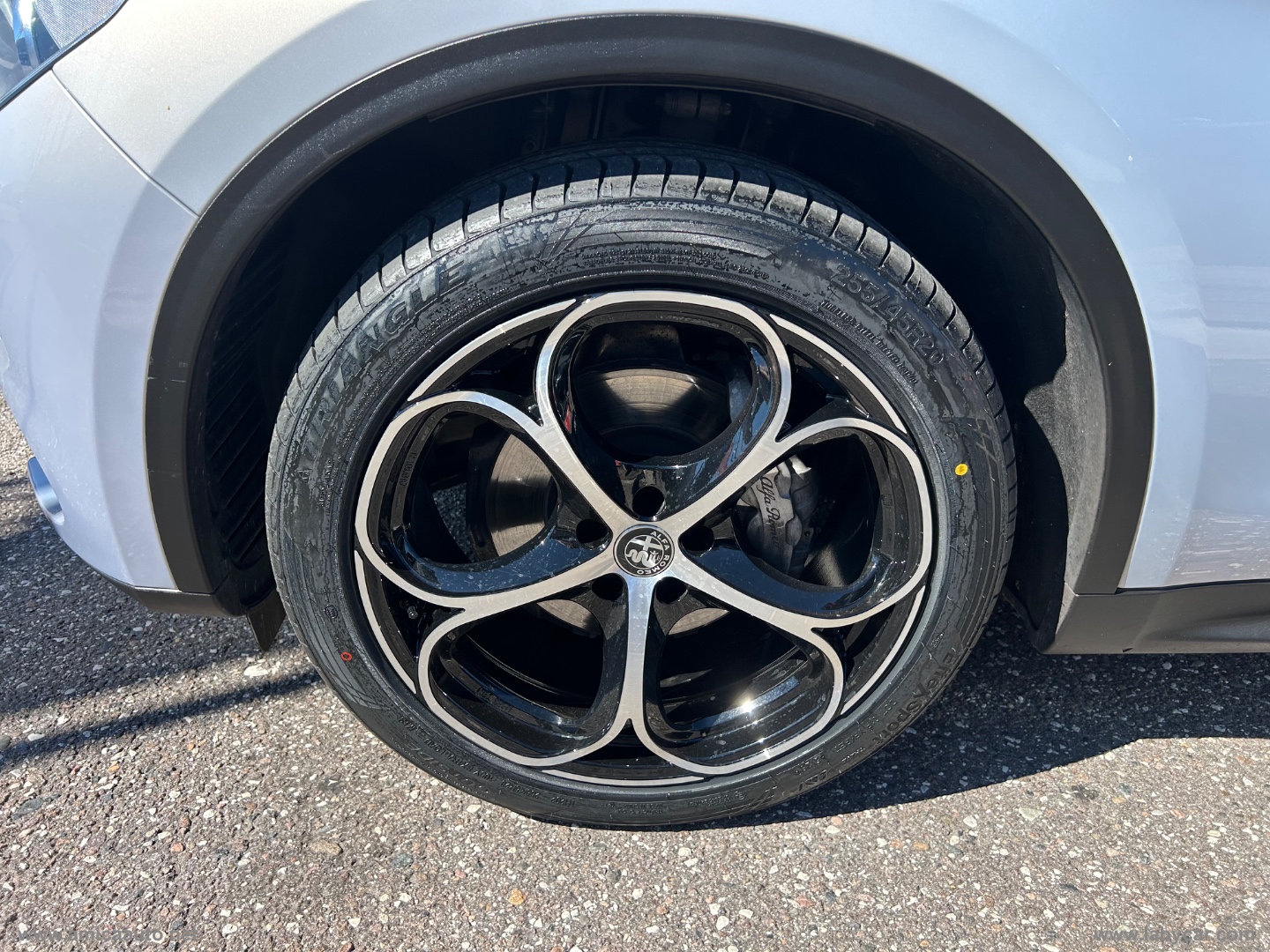 Stelvio 2.2 T.d. 190 CV AT8 Q4 Sup. Bus. - immagine 11