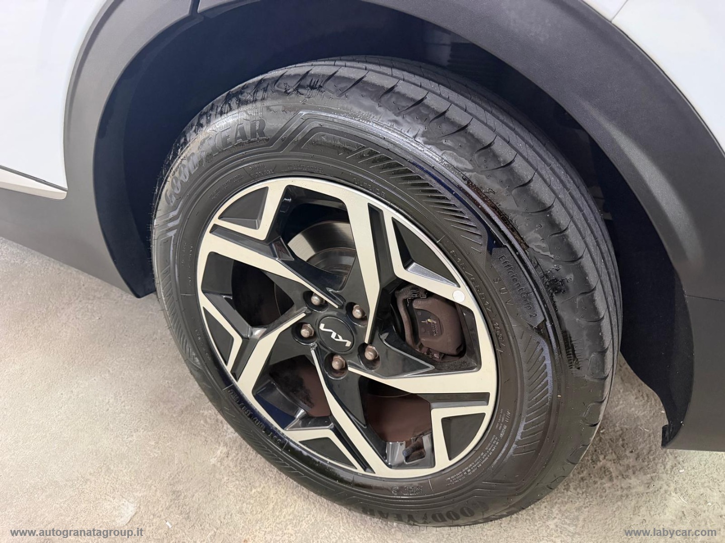 Sportage 1.6 CRDi MHEV Style GARANZIA KIA 2029! - immagine 11
