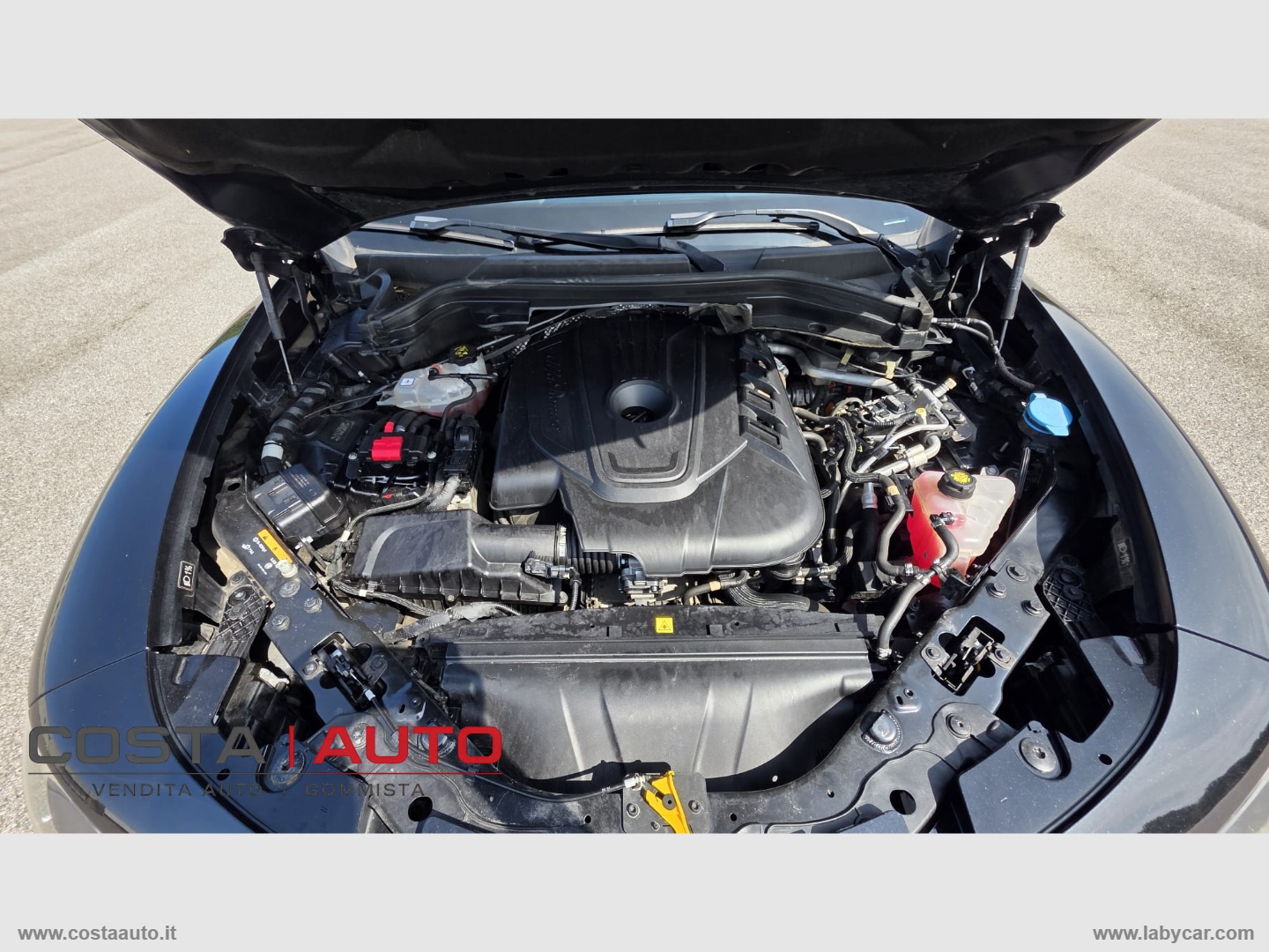 Stelvio 2.2 T.diesel 190 CV AT8 Q4 Exec. - immagine 11