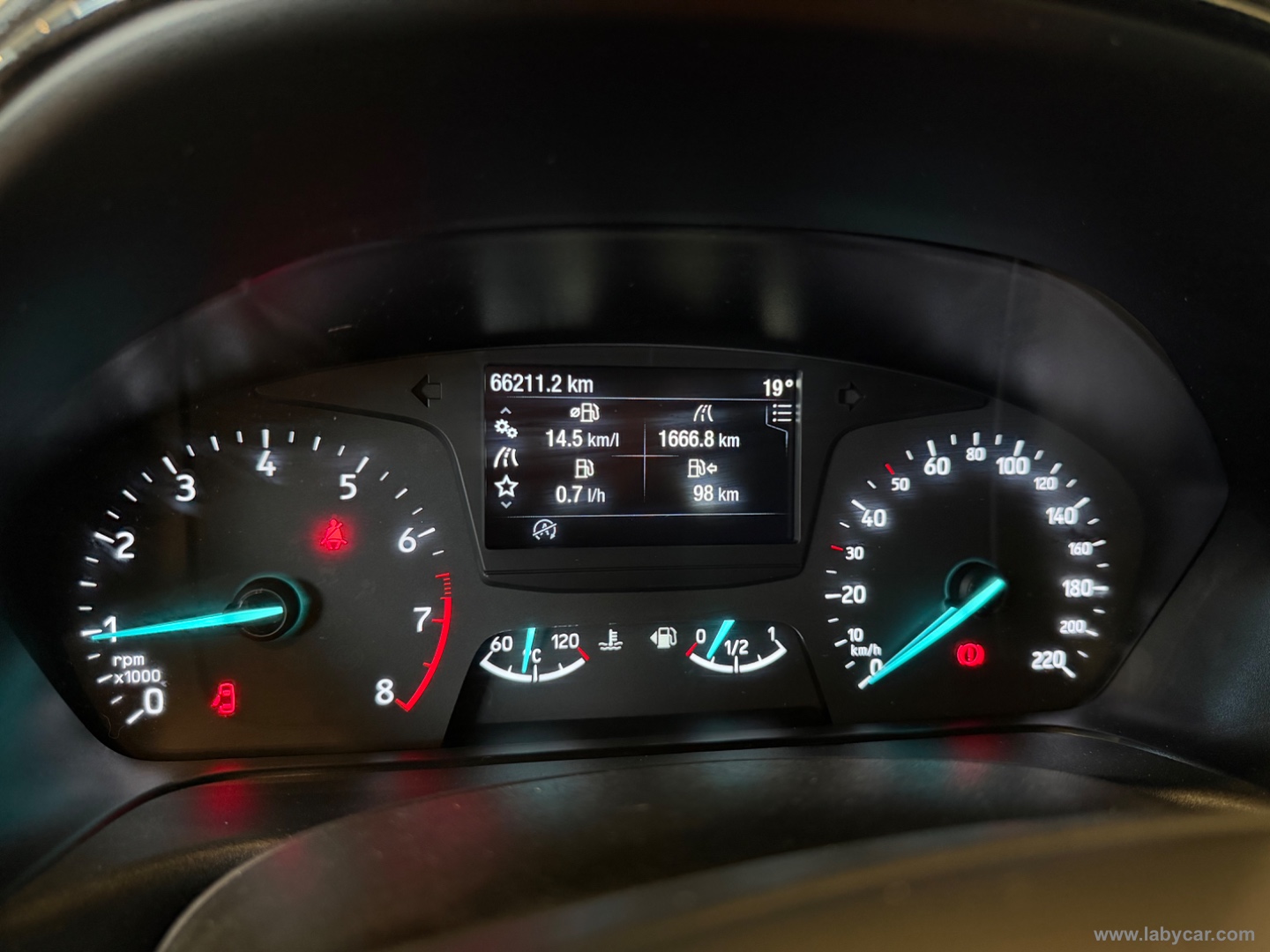 Fiesta Active 1.0 Ecoboost 100 CV - immagine 12