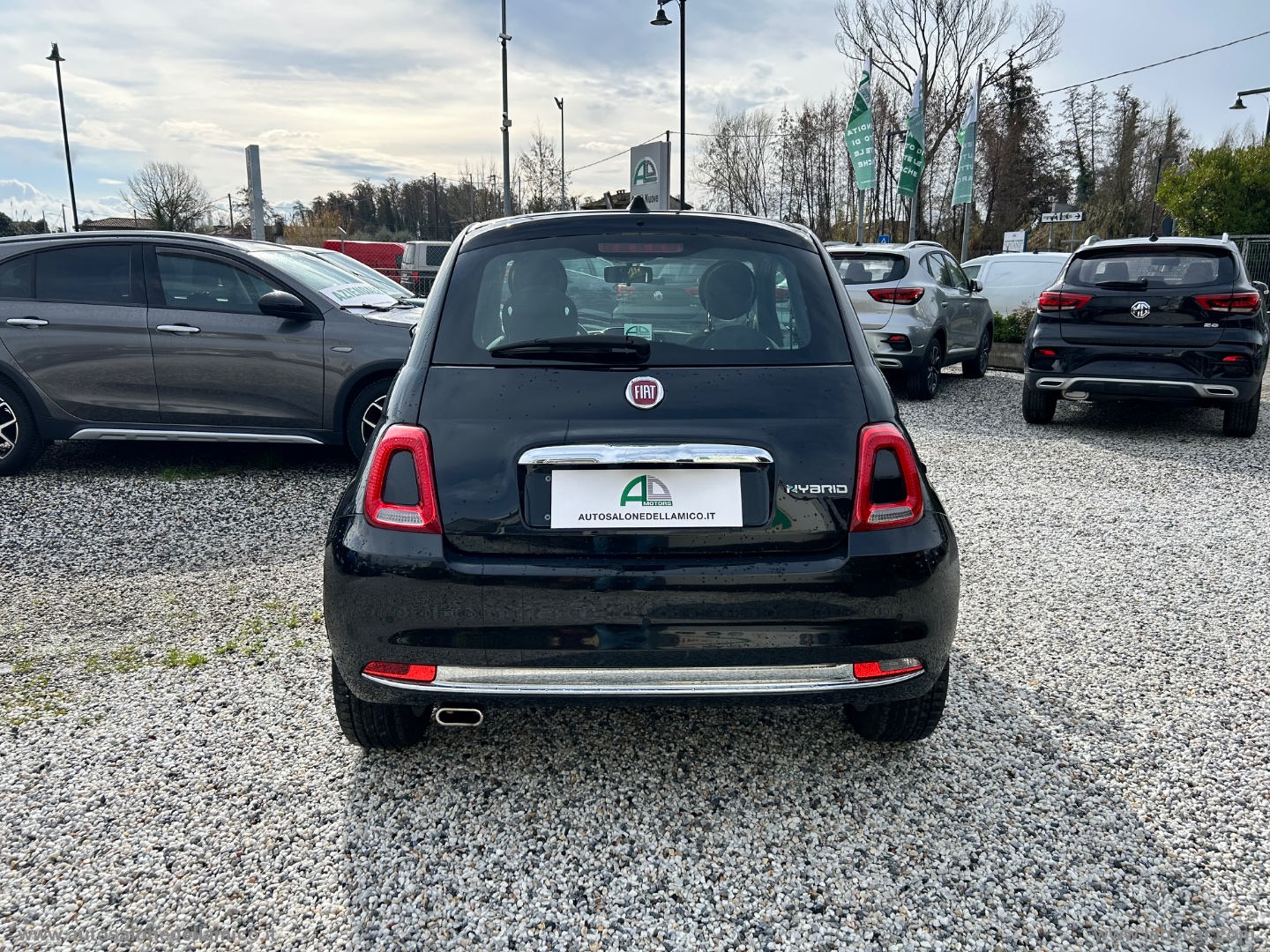 Img Particolare 11