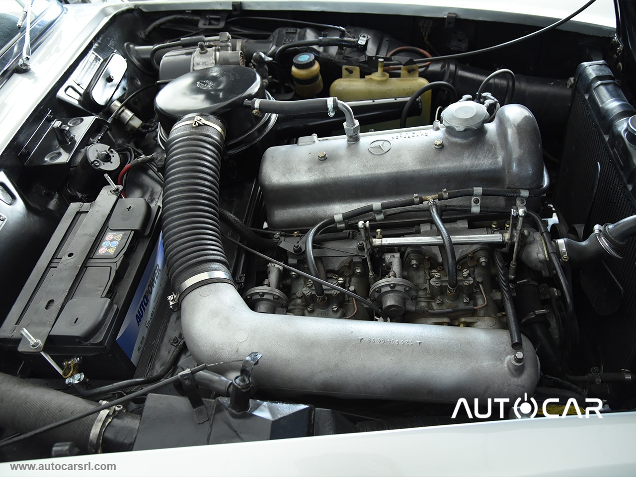 190 SL ASI MATCHING NUMBERS e MATCHING COLORS TARGA ORO - immagine 12