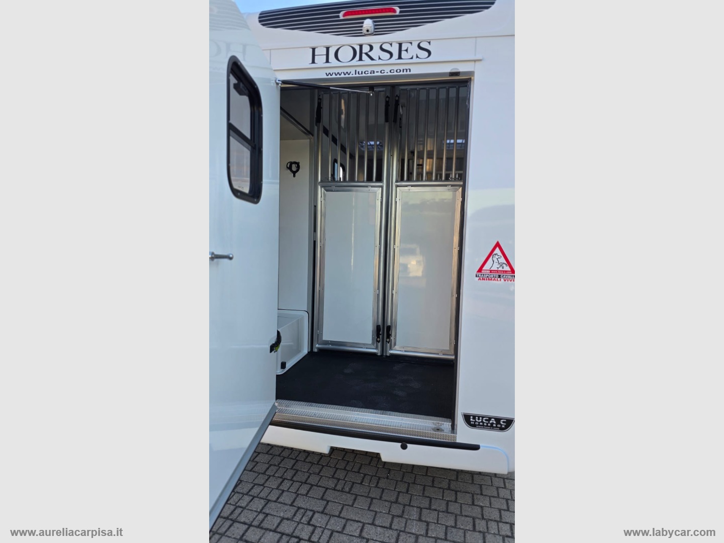 Master T35 2.3dCi135 PL-TM VAN TRASPORTO CAVALLI - immagine 12