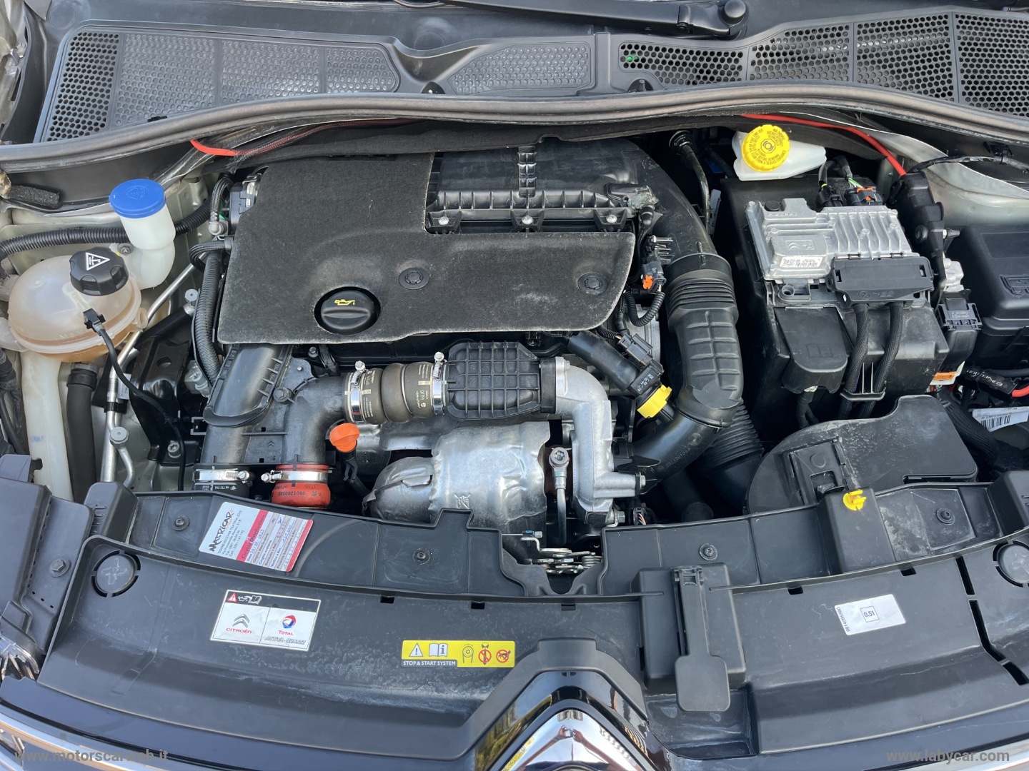 C4 Cactus BlueHDi 100 S&S Shine - immagine 12