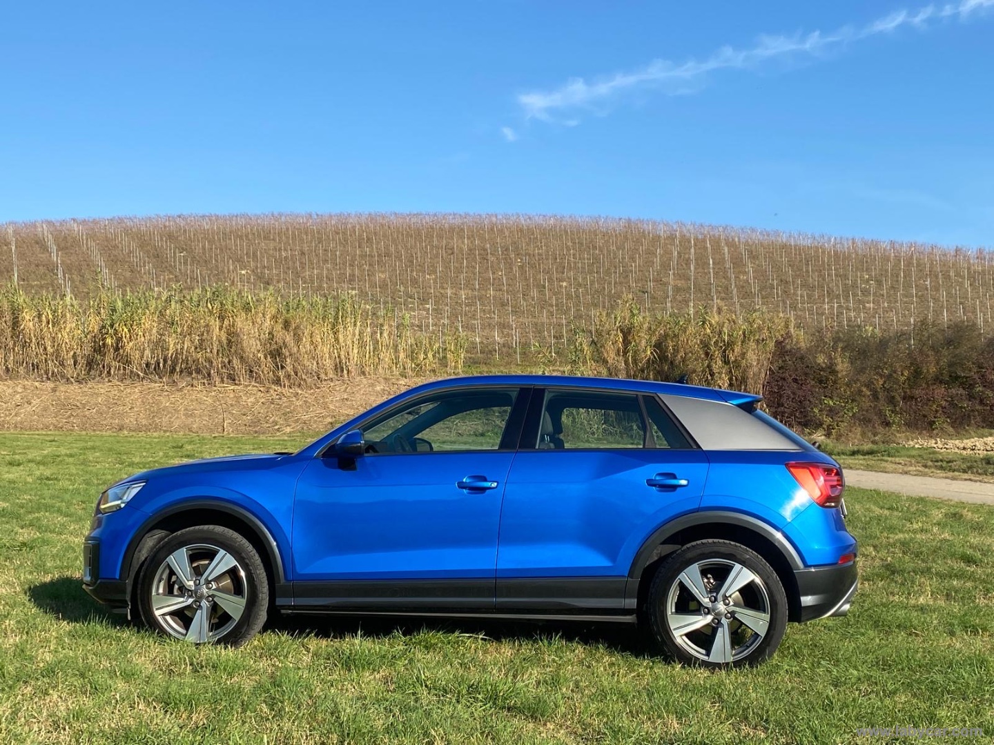 Q2 30 TDI S tronic Business Design - immagine 12