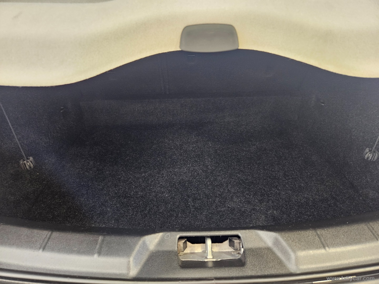 V40 D2 Momentum - immagine 13