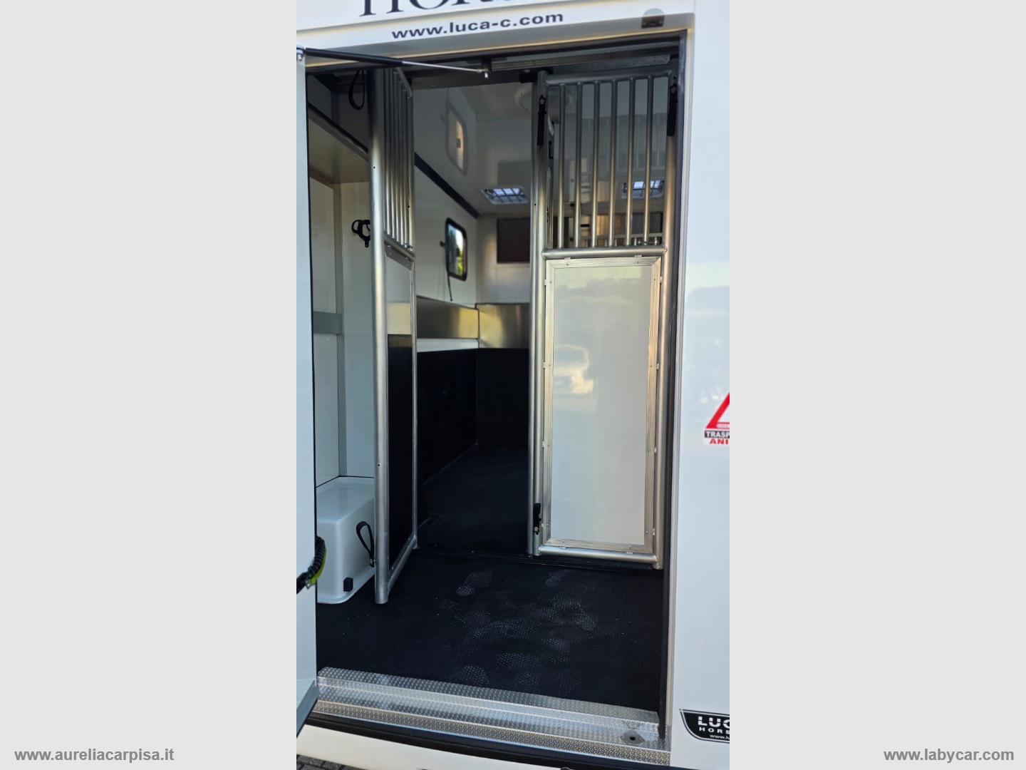 Master T35 2.3dCi135 PL-TM VAN TRASPORTO CAVALLI - immagine 13
