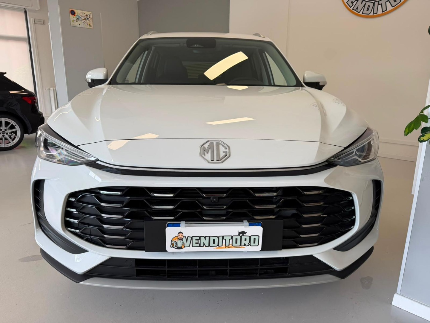 ZS Hybrid+ Luxury - immagine 13