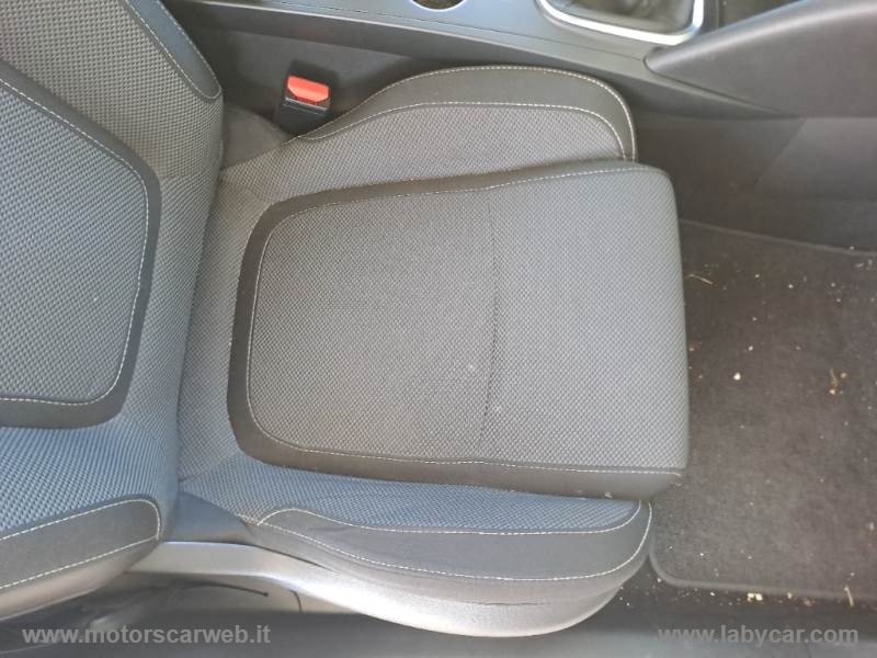 Mégane Sporter Blue dCi 115 CV Business - immagine 14