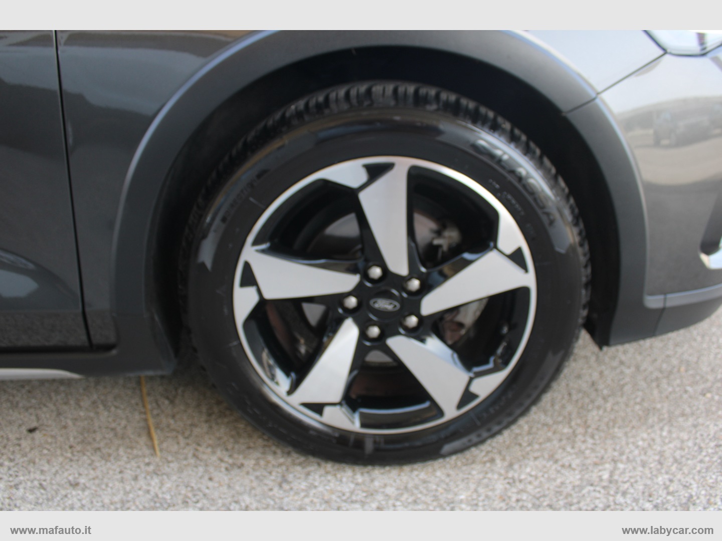 Focus 1.5 EcoBlue aut. SW Active - immagine 15