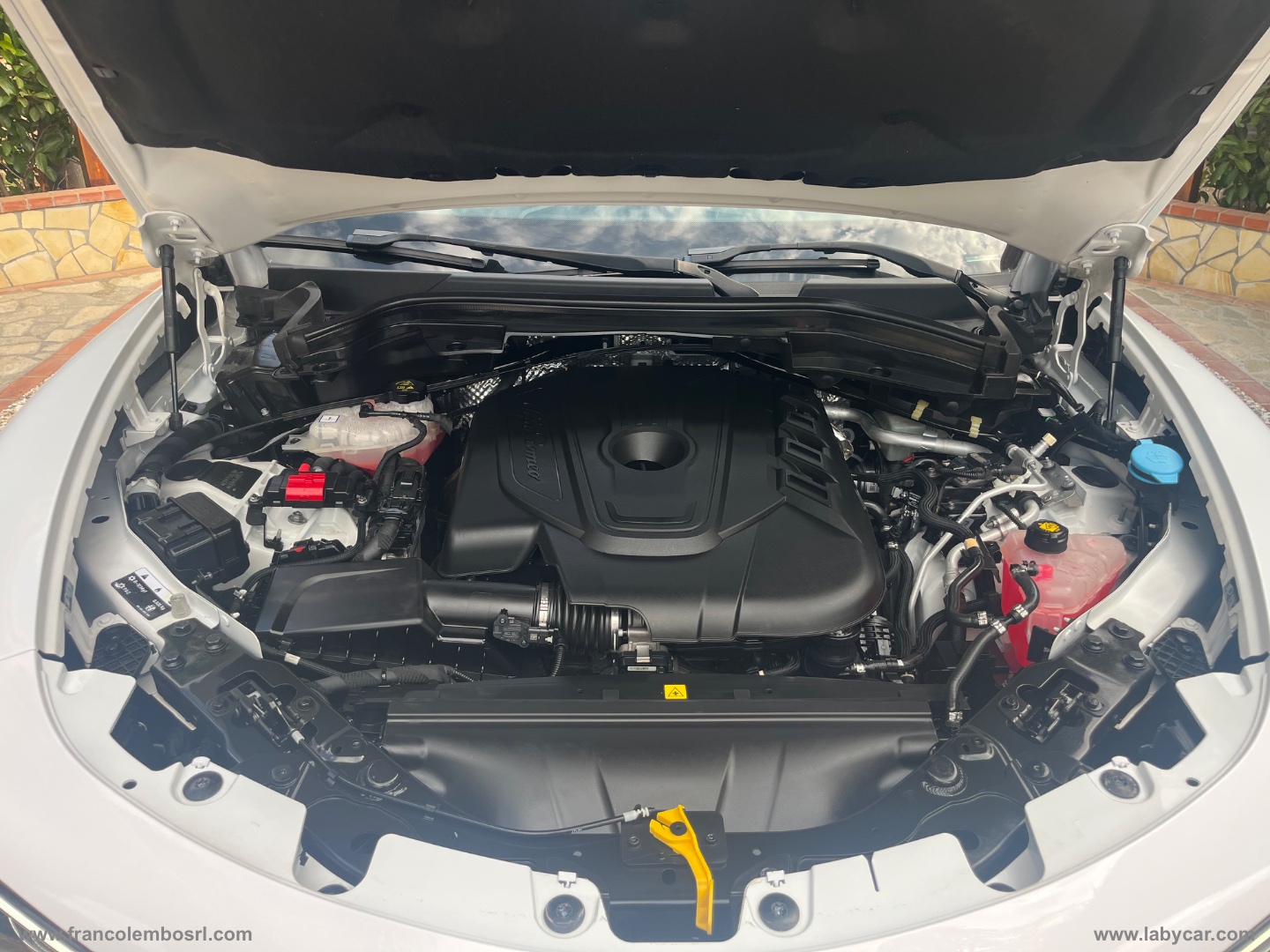 Stelvio 2.2 T.d. 190 CV AT8 Q4 Sup. Bus. - immagine 15