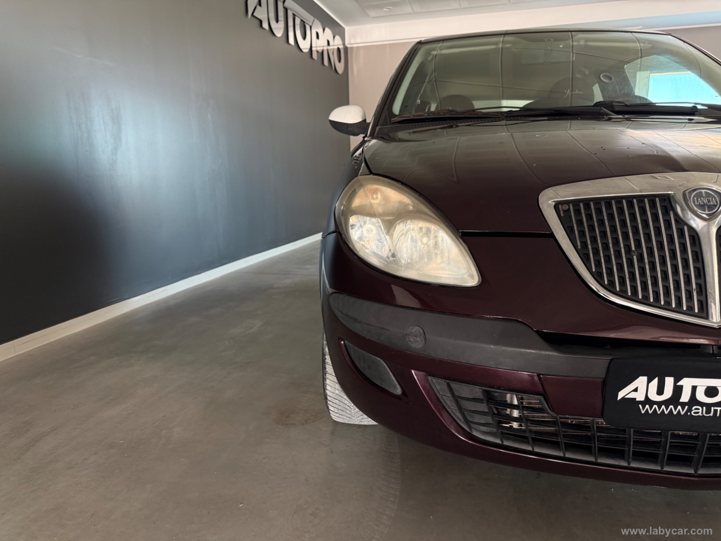 Ypsilon 1.4 Argento Ecochic GPL - immagine 16