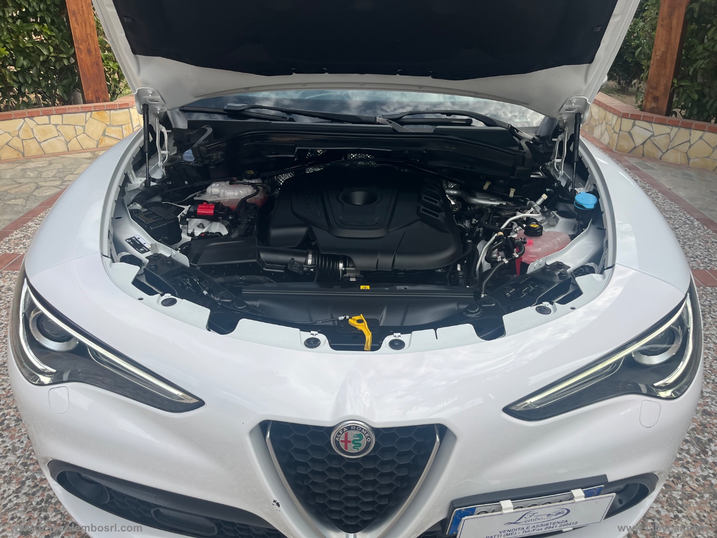 Stelvio 2.2 T.d. 190 CV AT8 Q4 Sup. Bus. - immagine 16
