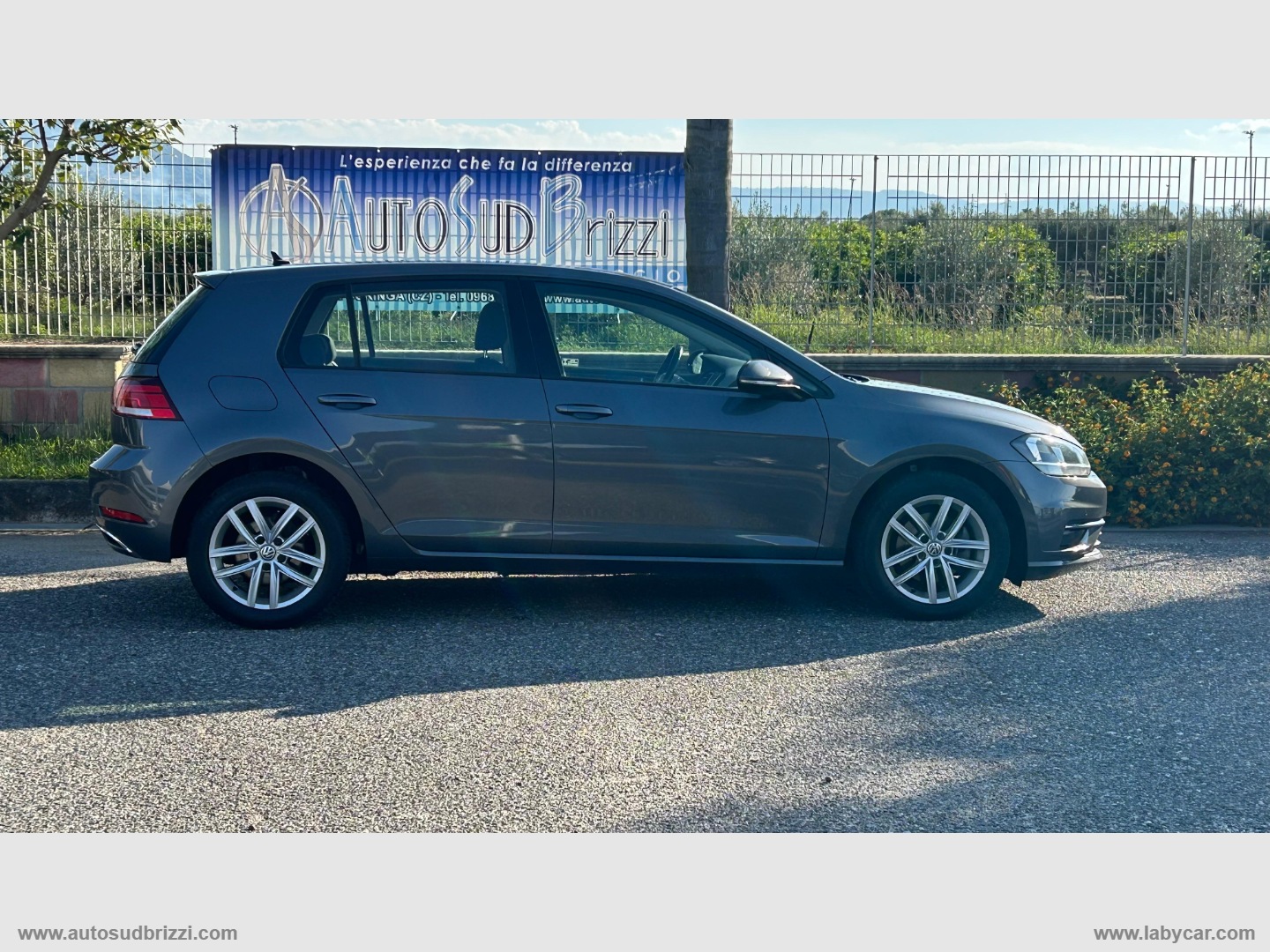 Golf 1.6 TDI 115CV 5p. Business BMT - immagine 16