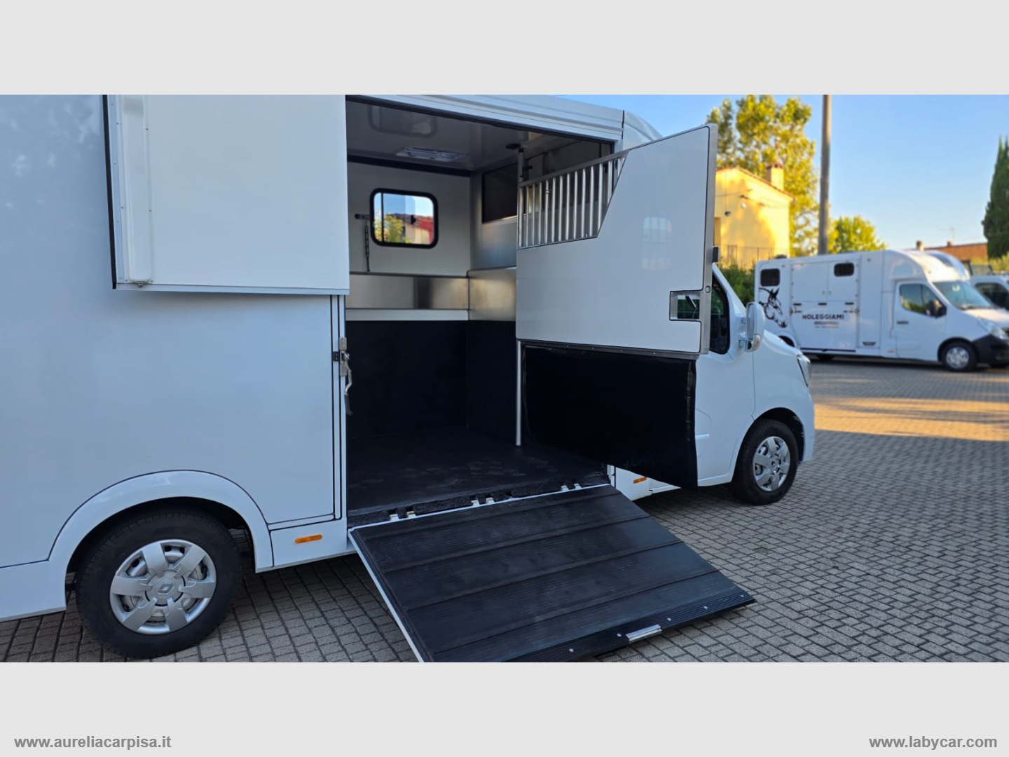 Master T35 2.3dCi135 PL-TM VAN TRASPORTO CAVALLI - immagine 16