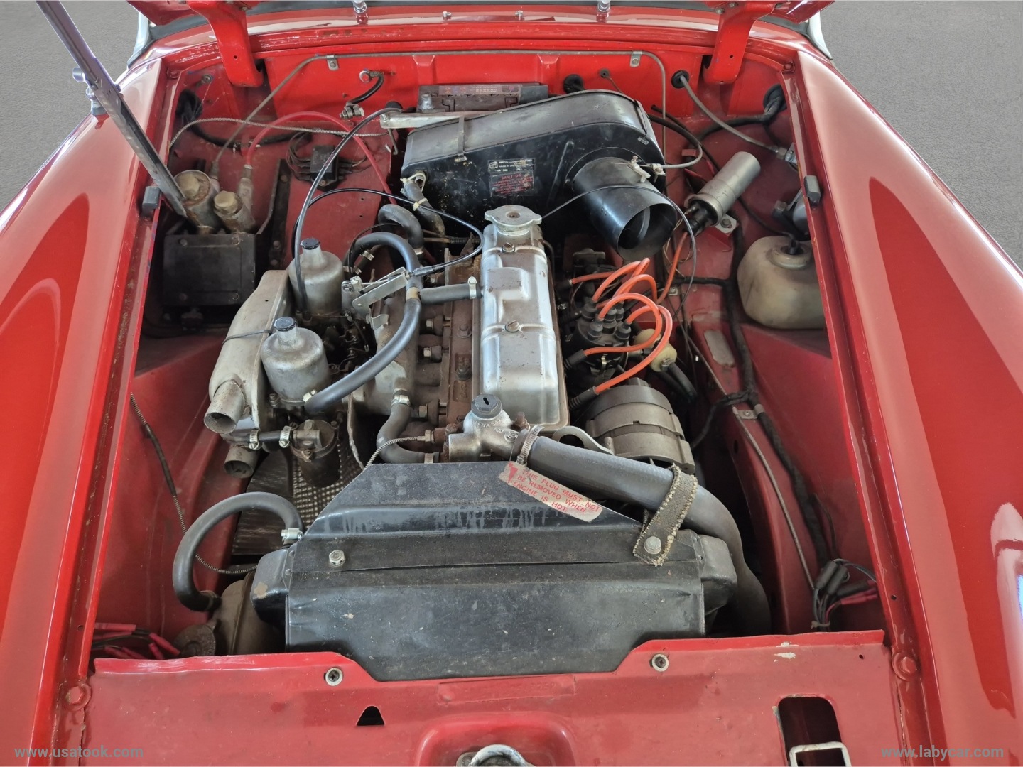 MIDGET 1.500 MG MIDGET - immagine 16