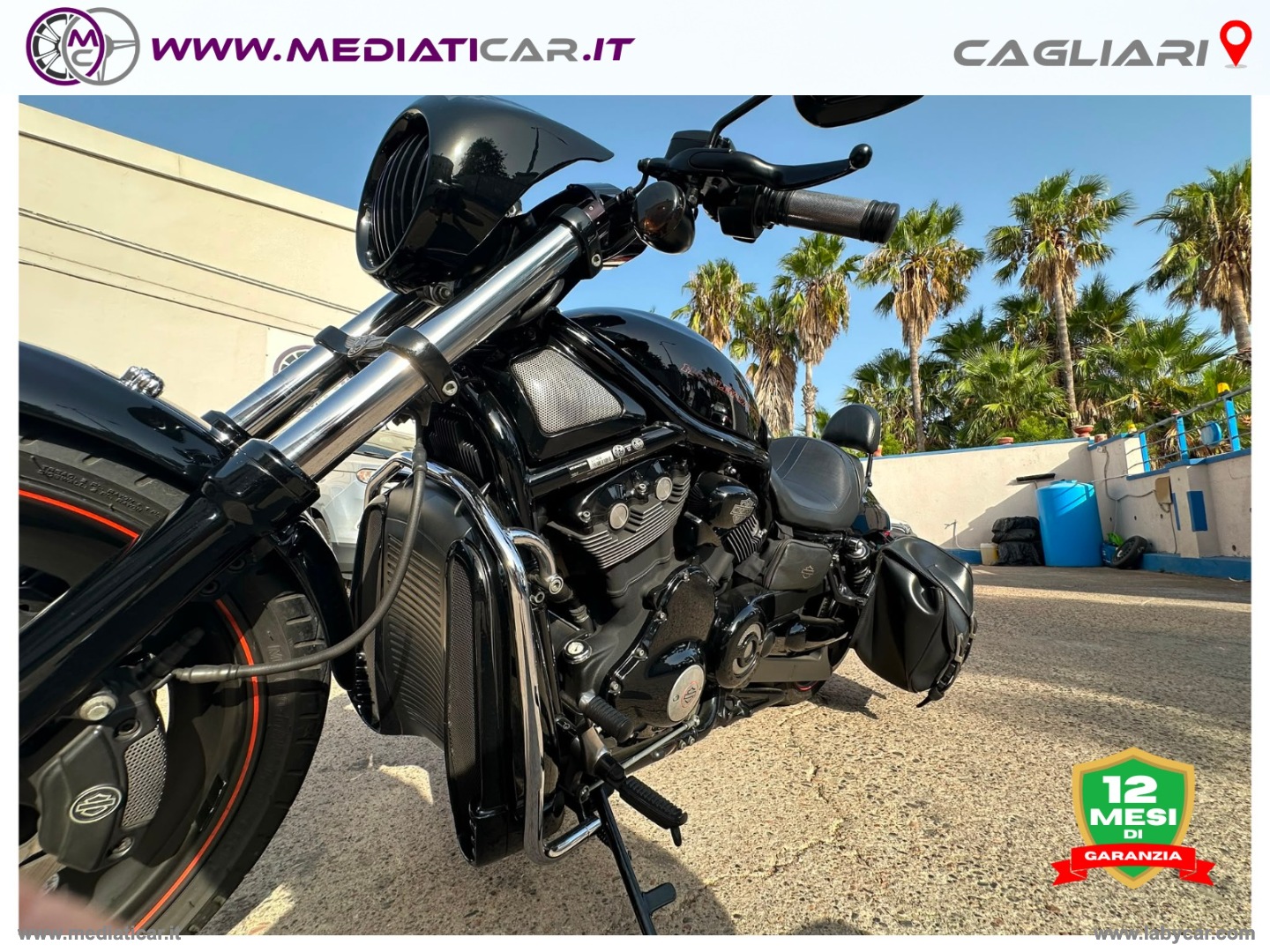 V-Rod - immagine 17