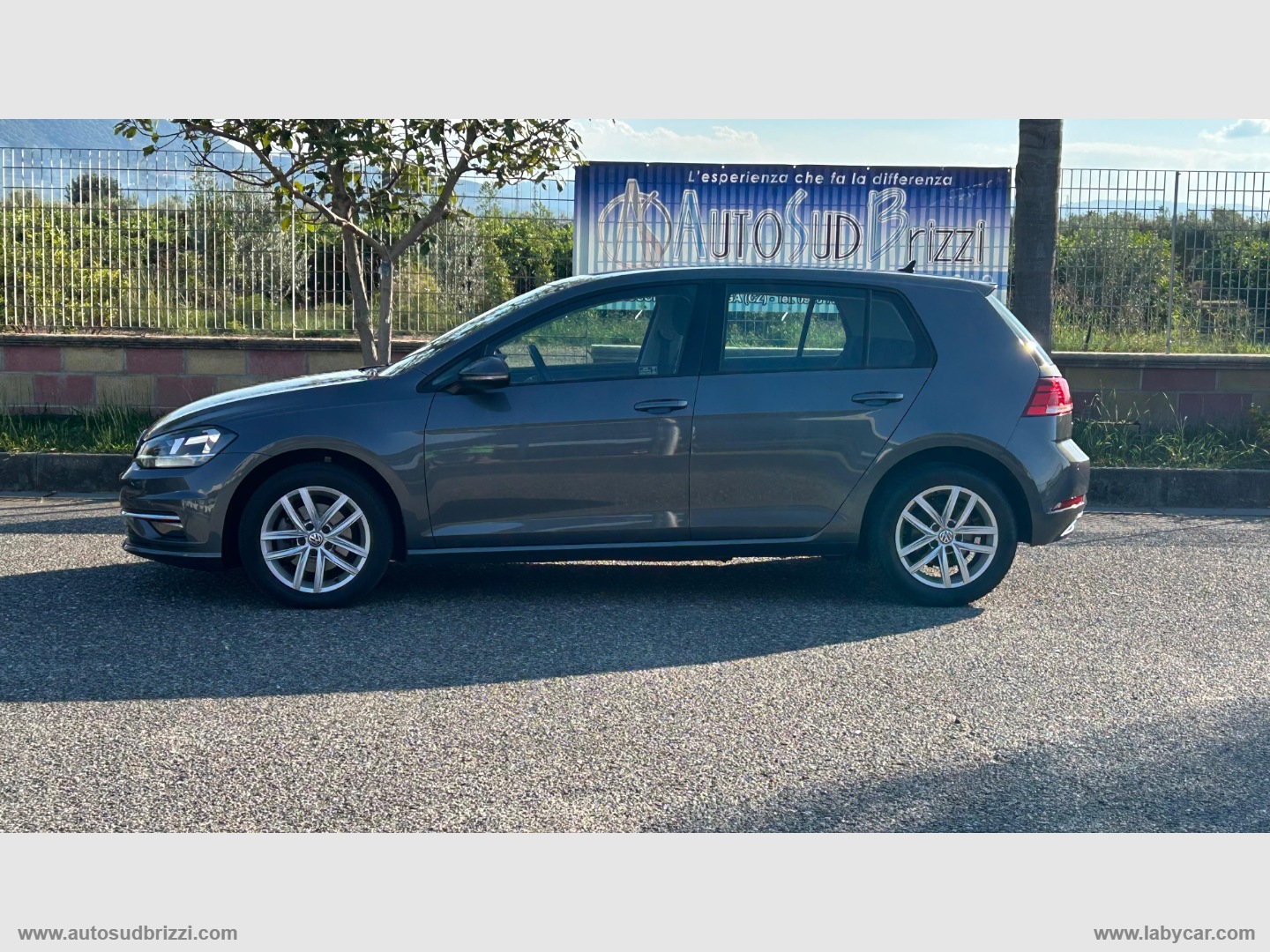 Golf 1.6 TDI 115CV 5p. Business BMT - immagine 17