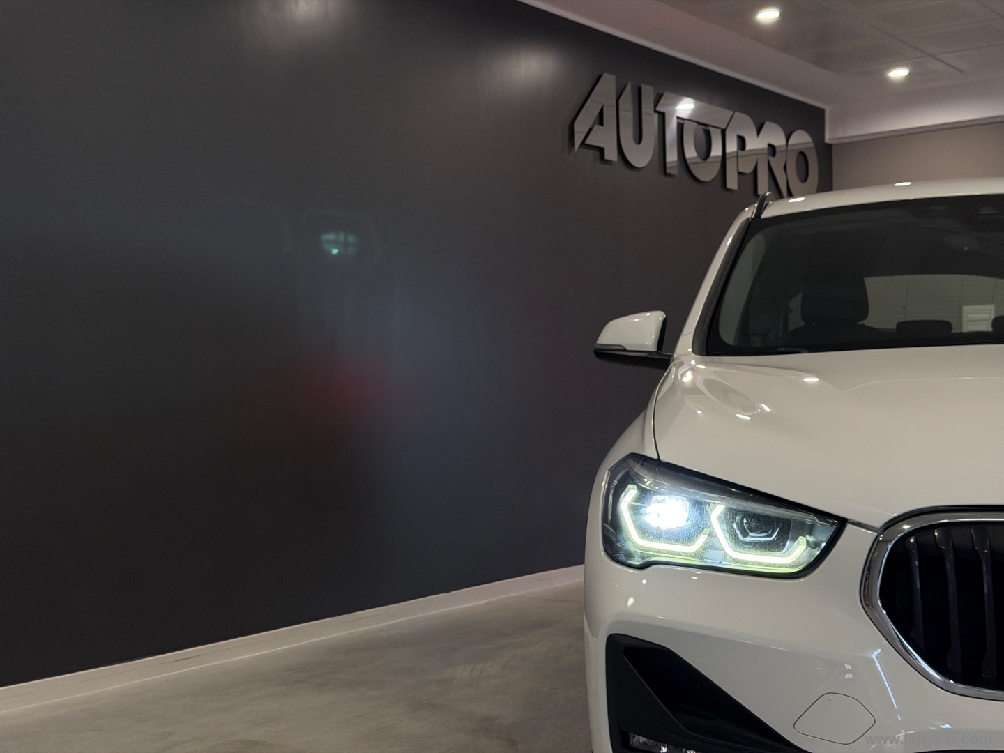 X1 xDrive25e Business Advantage - immagine 18