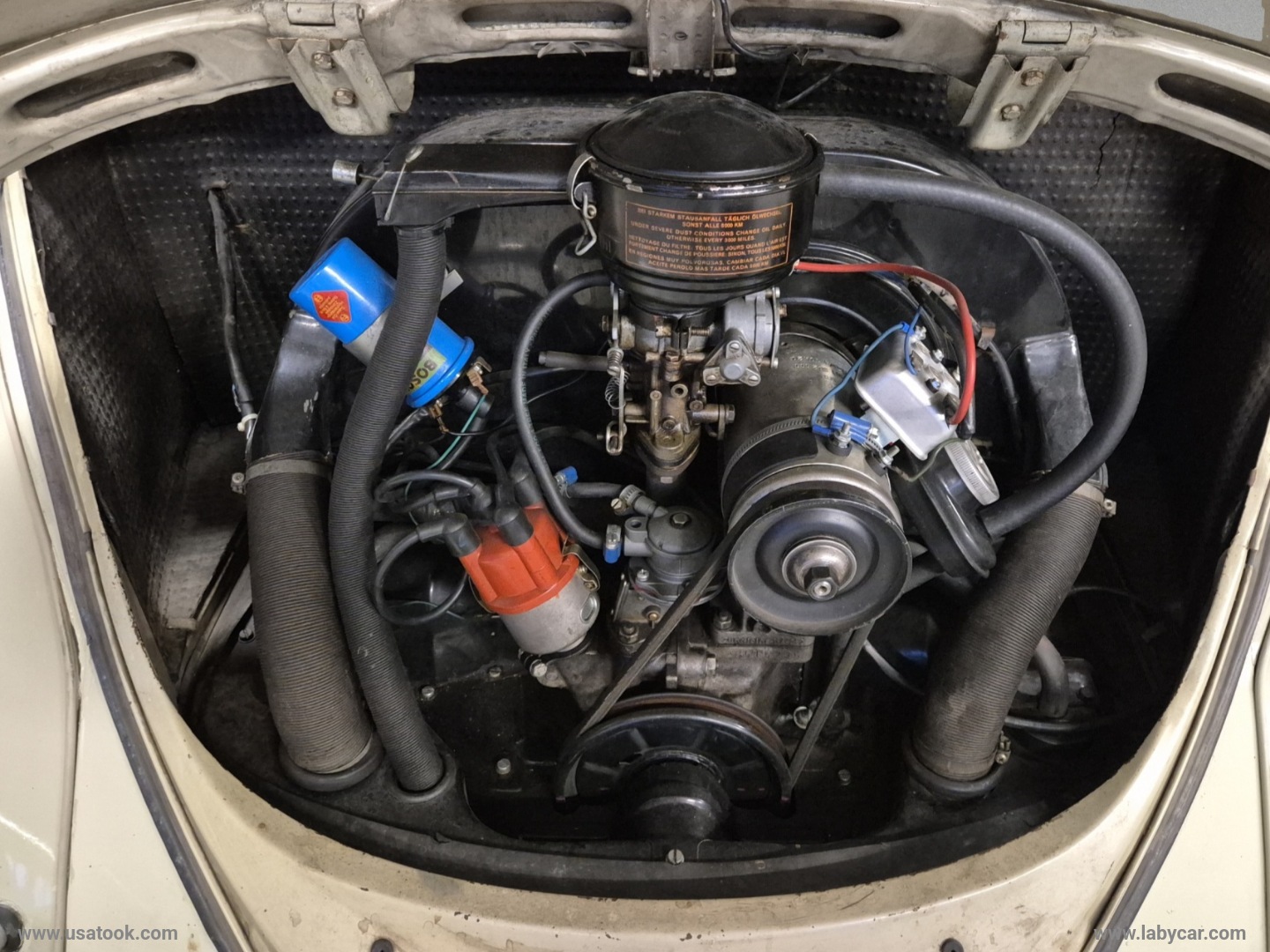 MAGGIOLINO 1.200 6 VOLT - immagine 18