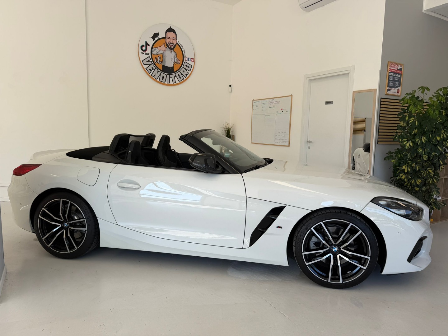 Z4 sDrive20i Msport - immagine 18
