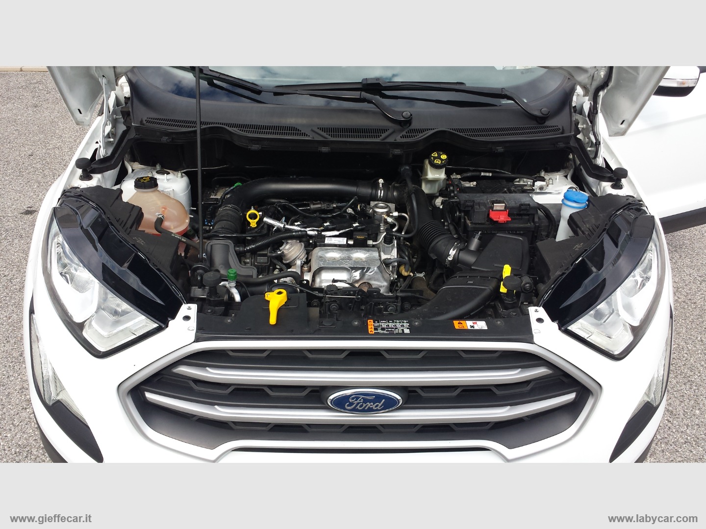 EcoSport 1.0 EcoBoost 100 CV Plus - immagine 20