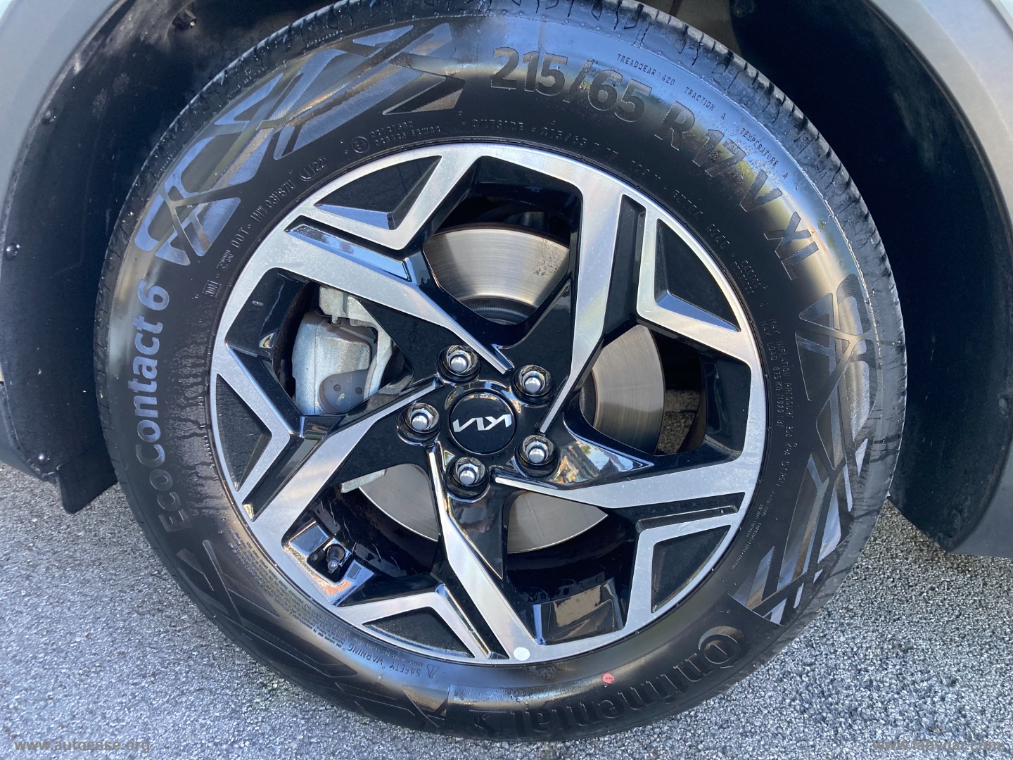 Sportage 1.6 CRDi MHEV Business - immagine 20