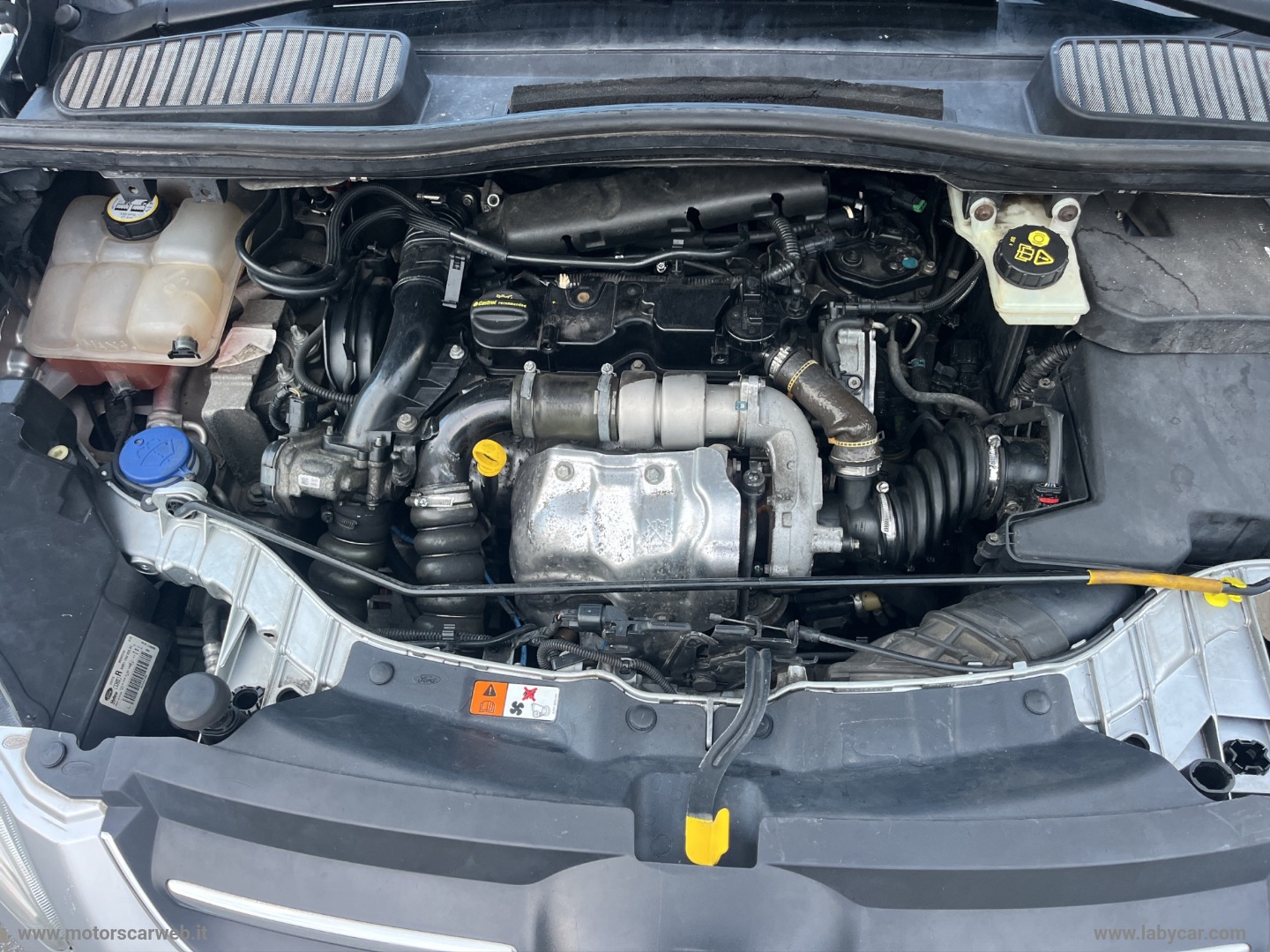 C-Max 1.6 TDCi 115 CV Plus - immagine 20