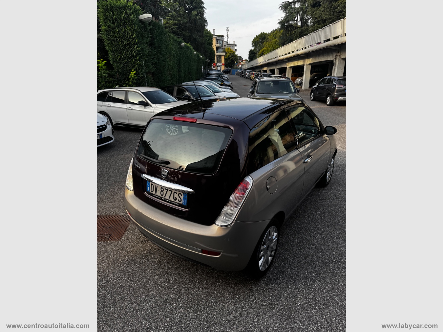 Ypsilon 1.2 Oro - immagine 20