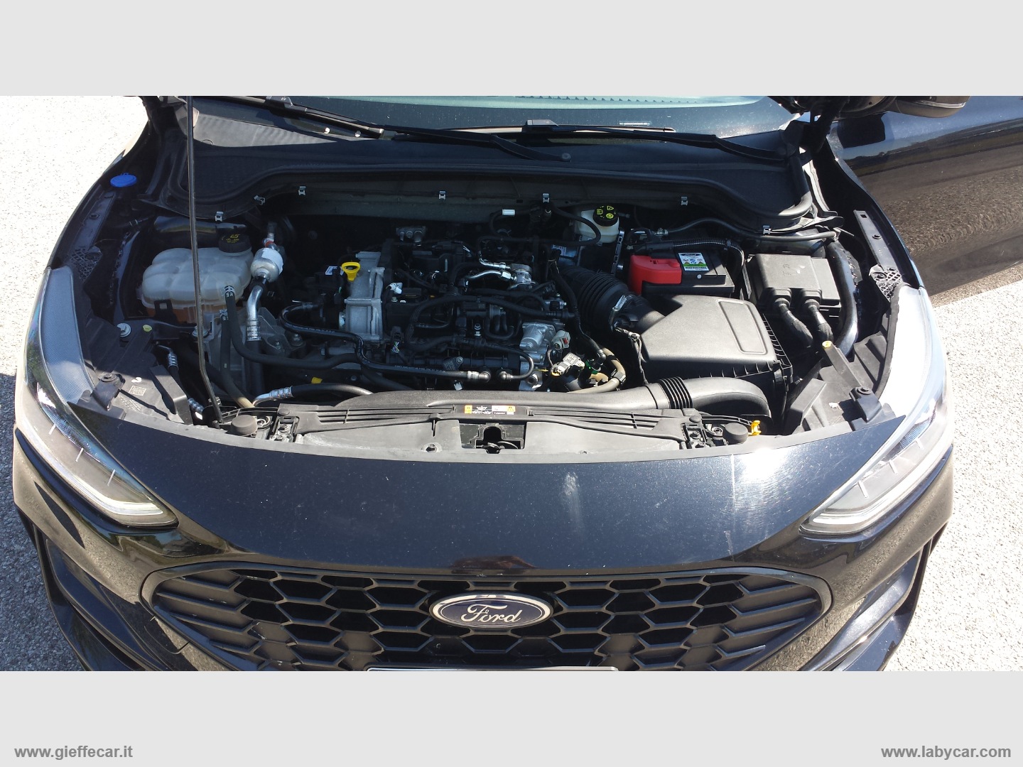 Focus 1.0 EcoB. Hybrid 155CV Pow SW ST-LINE - immagine 21