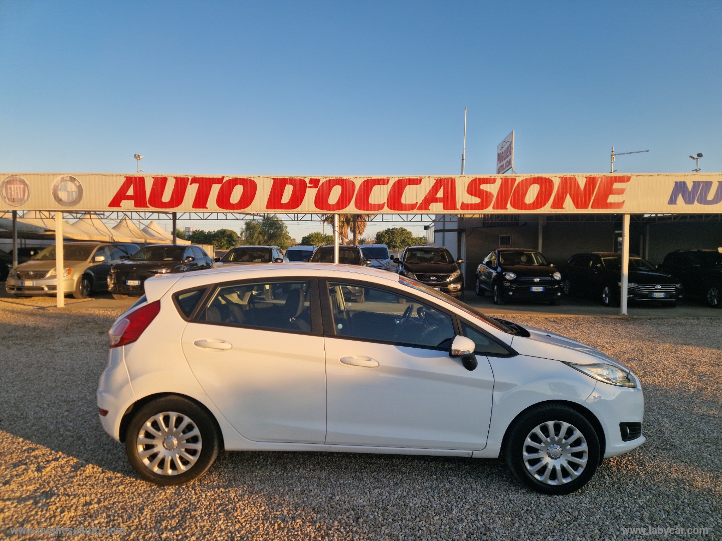 Fiesta 1.5 TDCi 75 CV 5p. - immagine 22