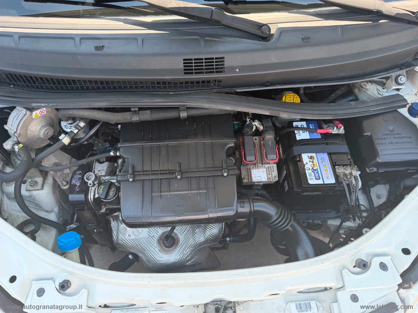 Musa 1.4 8V Ecochic OUTLET! - immagine 24