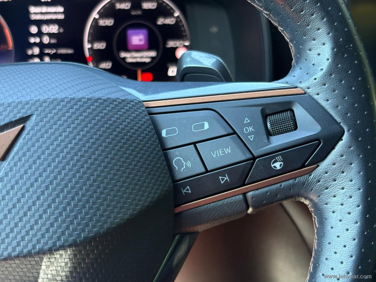 CUPRA Formentor 1.4 e-Hybrid DSG - Immagine 25