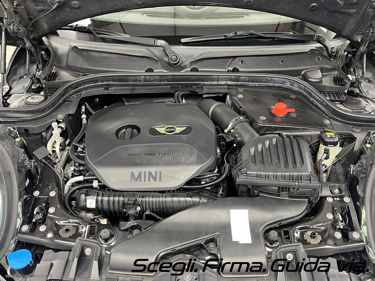 Mini Cooper S Cabrio|MODELLO NUOVO|PELLE TOTALE - immagine 25