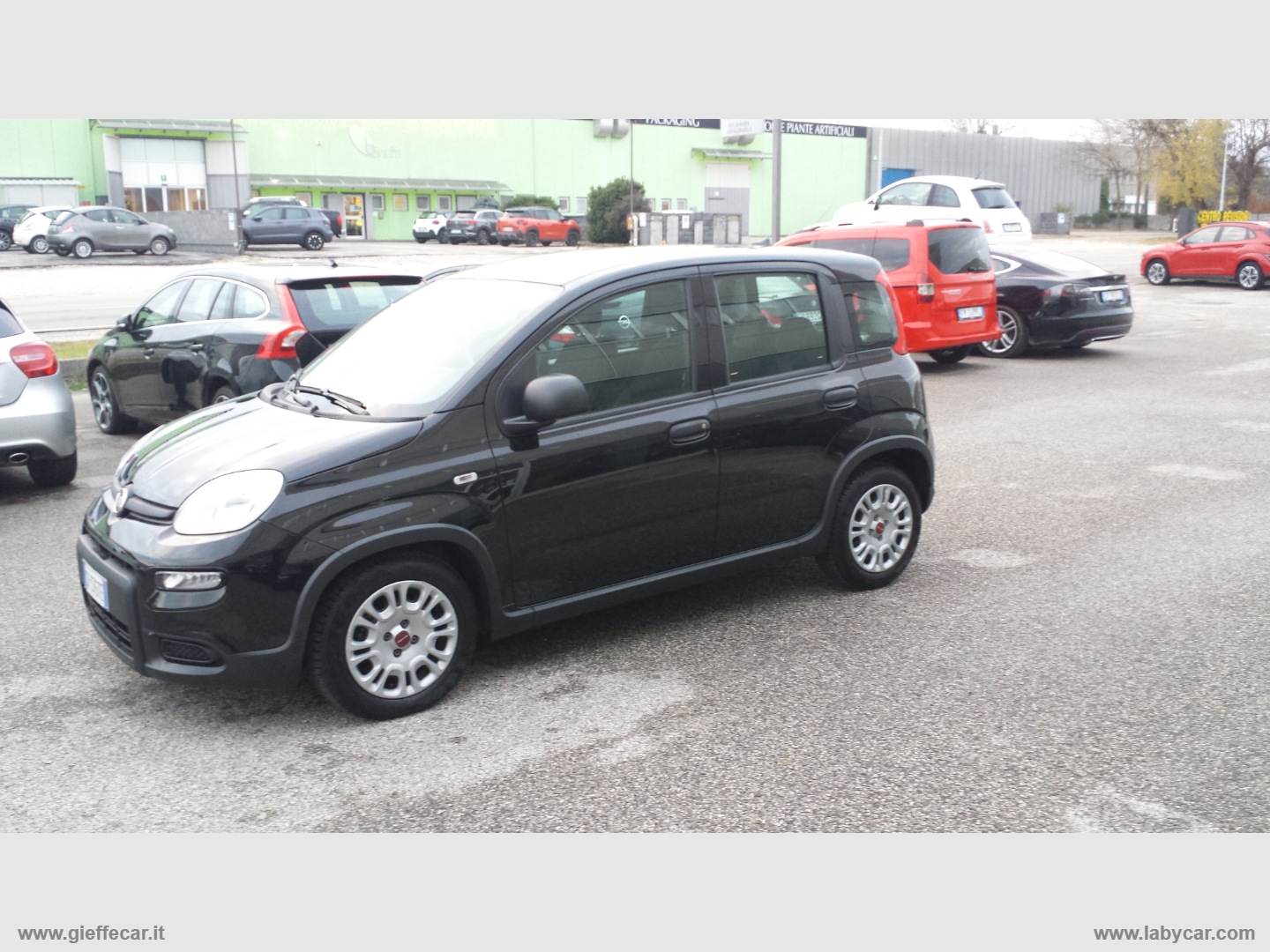 FIAT Panda