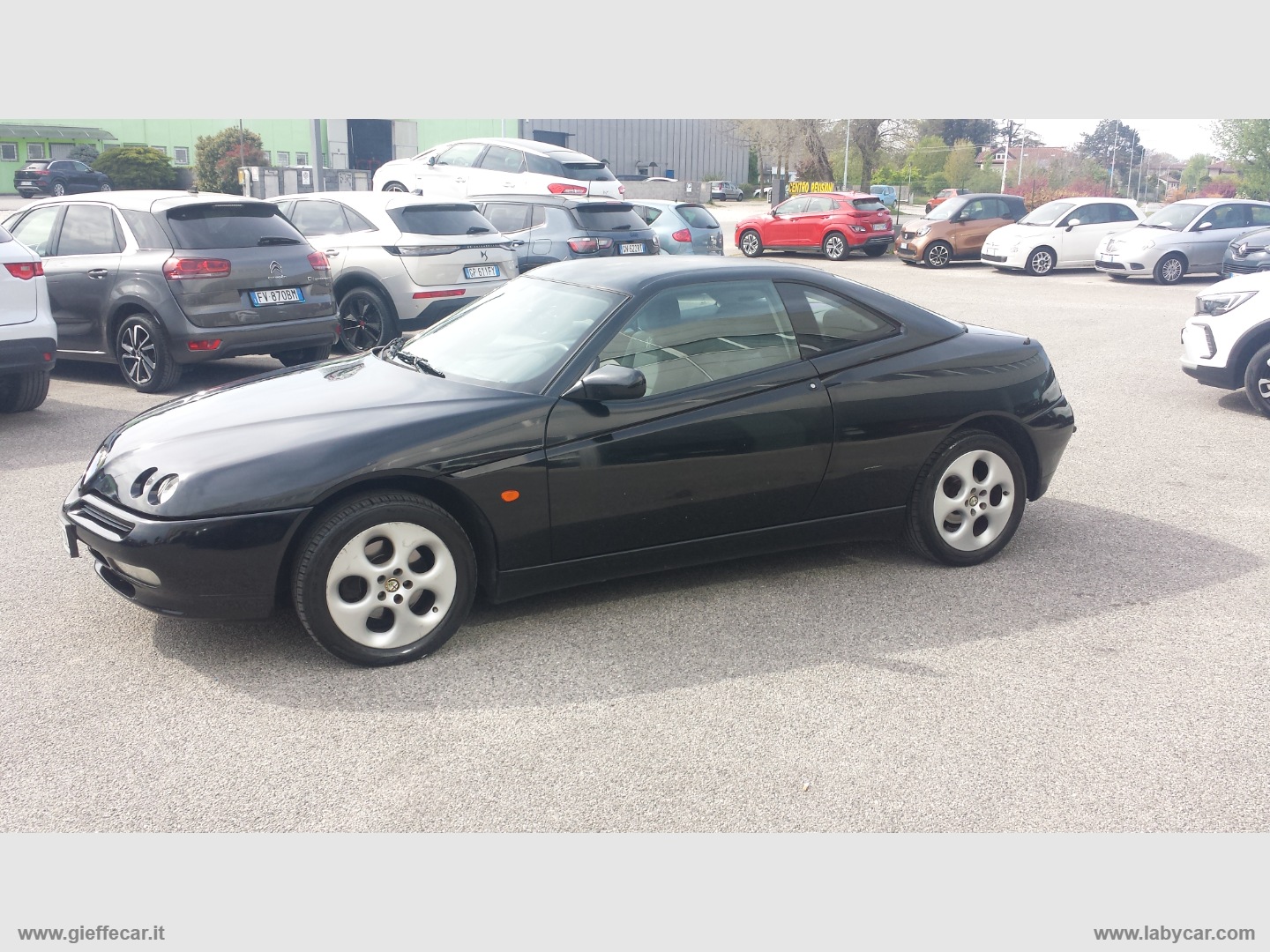 ALFA ROMEO Gtv/Spider