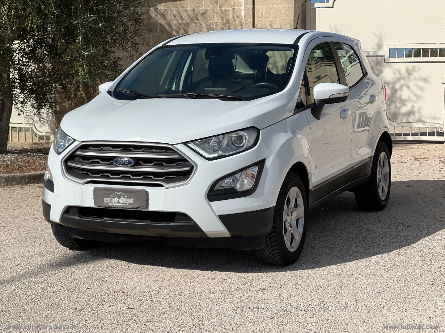 FORD EcoSport 1.5 Ecoblue 95 CV S&S Plus                                                        