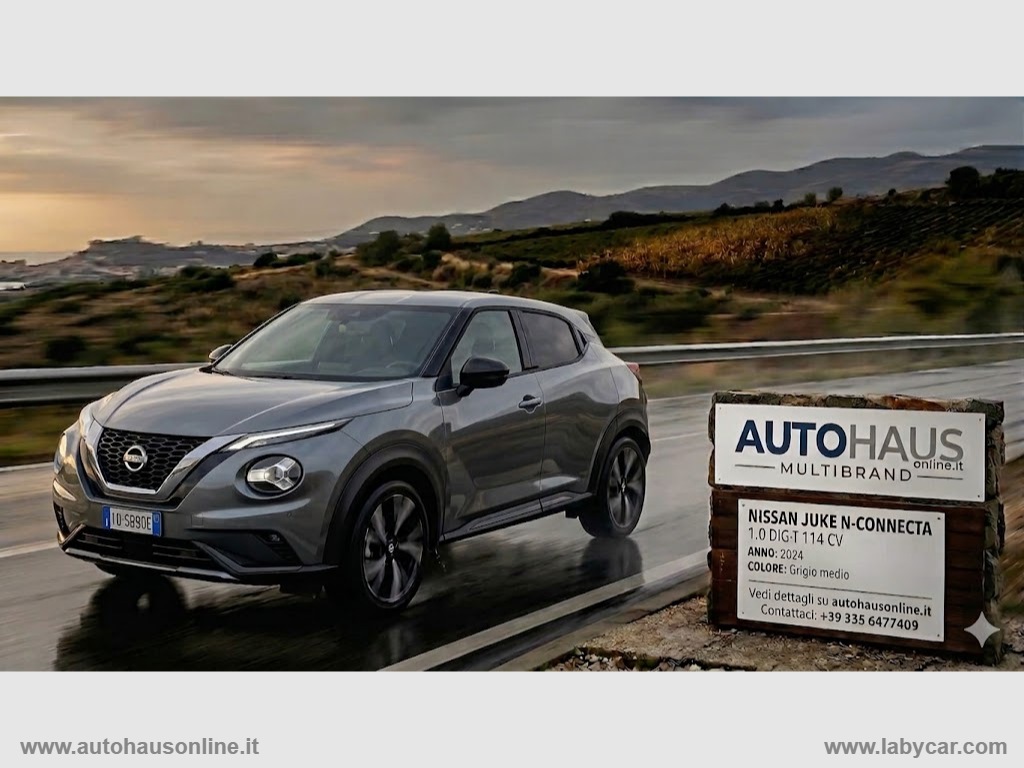NISSAN Juke
