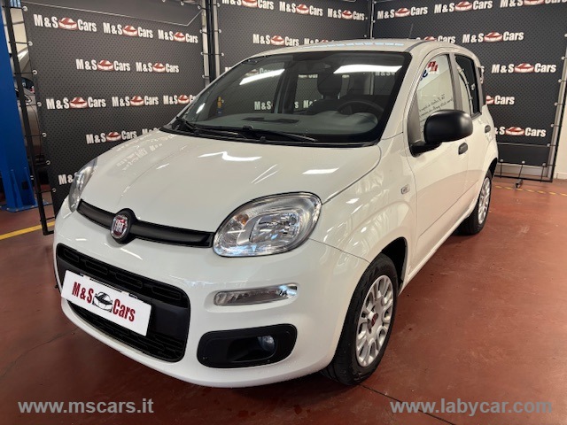 FIAT Panda