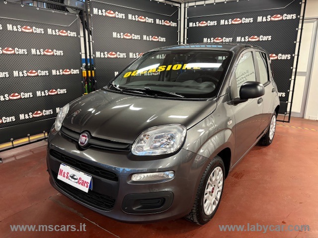 FIAT&nbsp;Panda