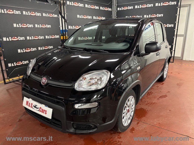 FIAT&nbsp;Panda