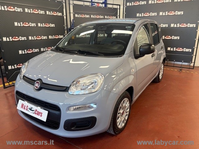 FIAT&nbsp;Panda