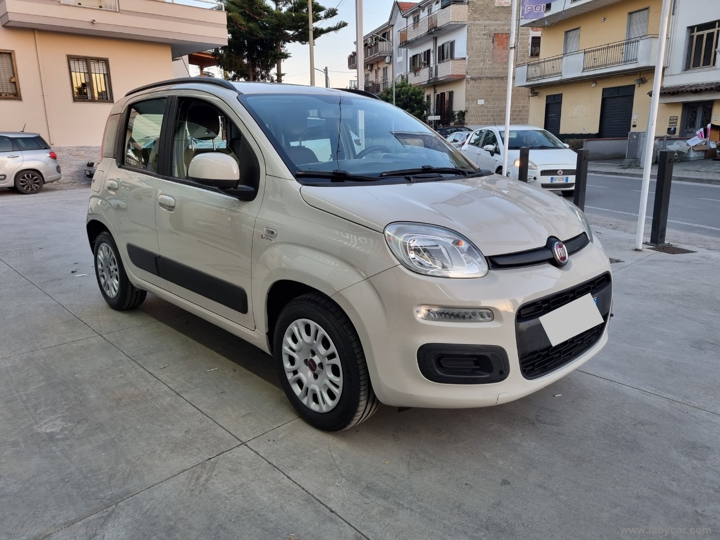 Panda 1.2 Easy                                                        