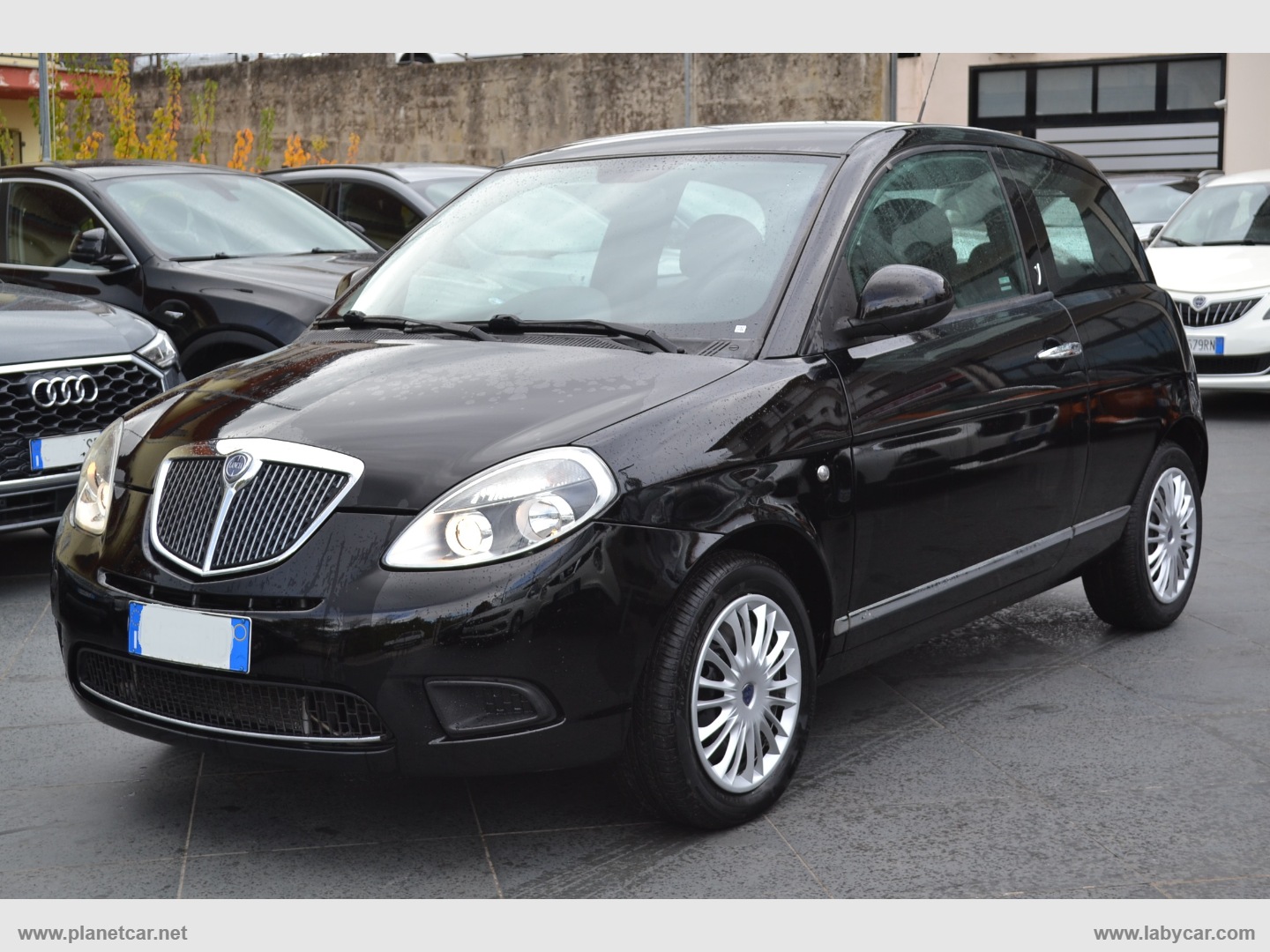 Ypsilon 1.3 MJT 75 CV New Oro                                                        